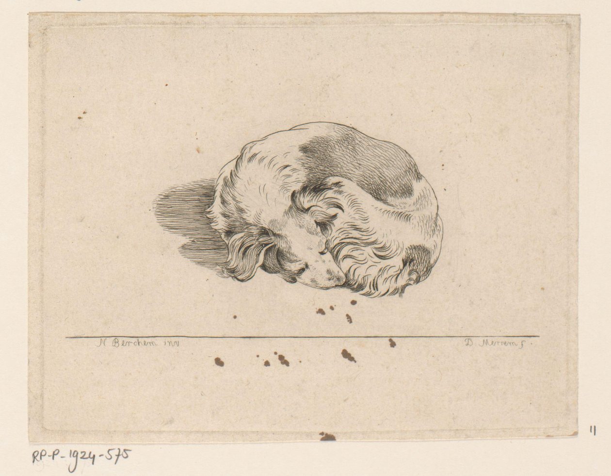 Schlafender Hund von D. Merrem