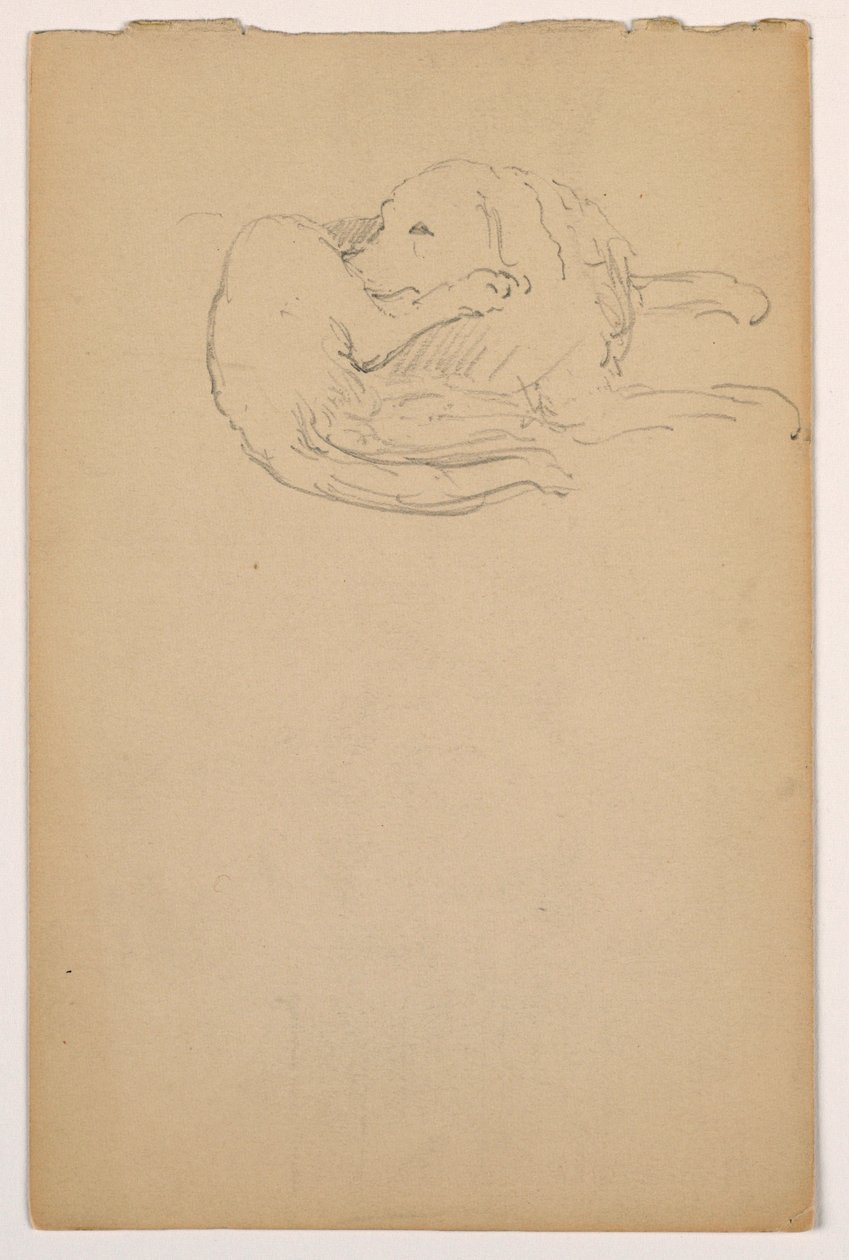 Zeichnung, Dash (ein Setter), ca. 1862 von Daniel Huntington
