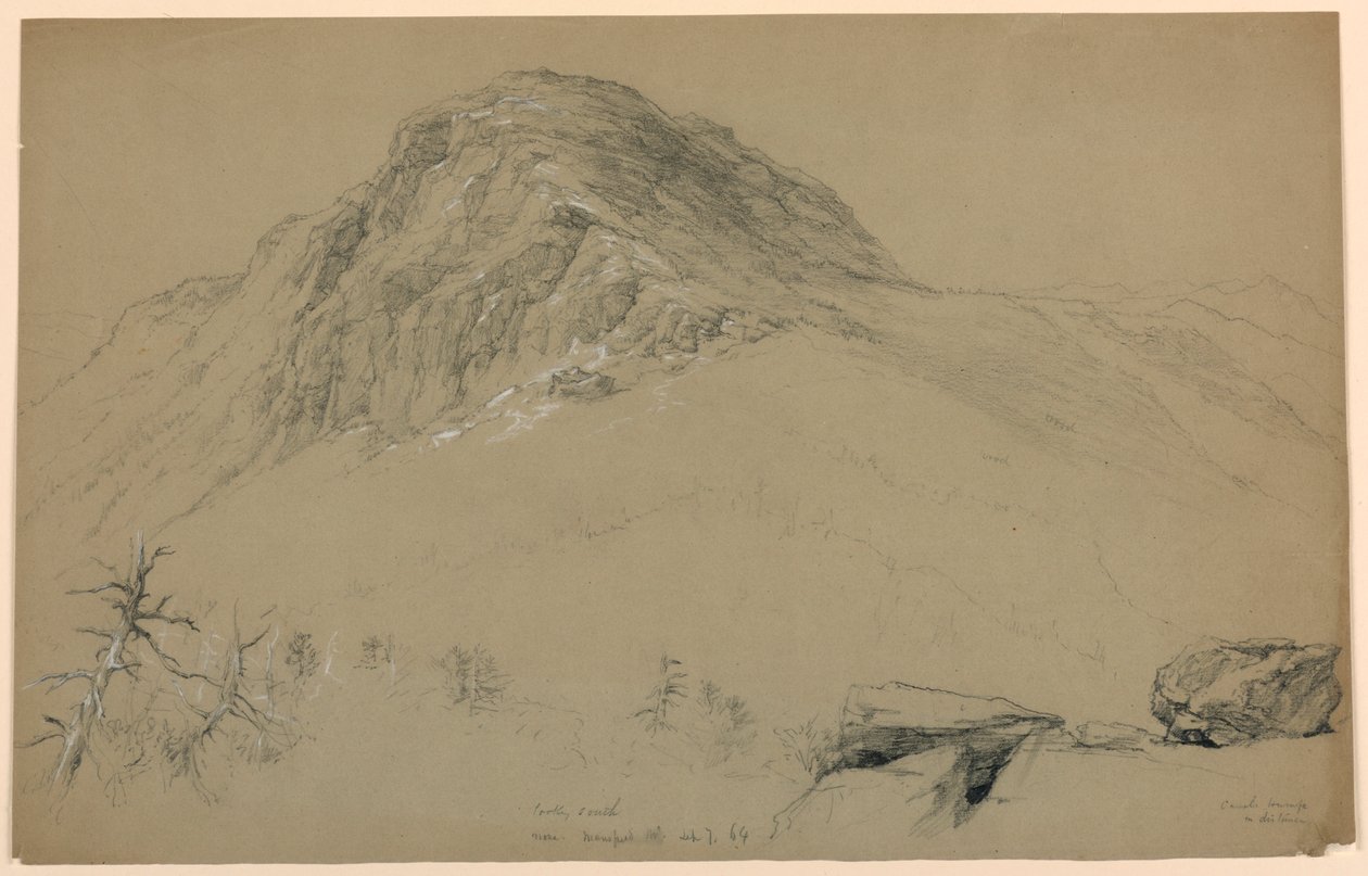 Blick nach Süden, Mount Mansfield, Vermont von Daniel Huntington