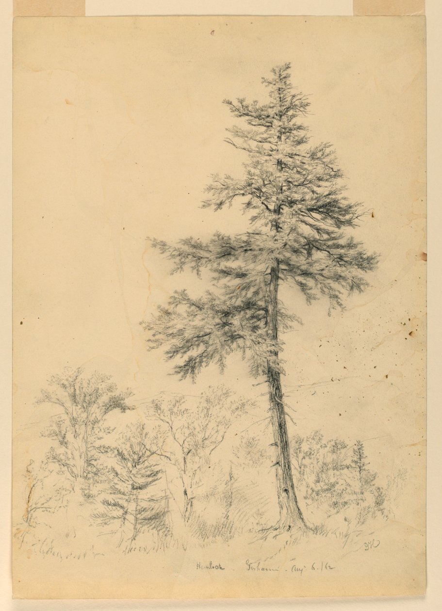 Studie von Schierling, Gorham, New Hampshire von Daniel Huntington