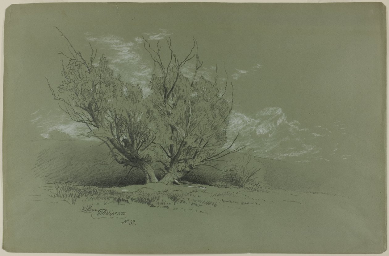 Weide von David Johnson