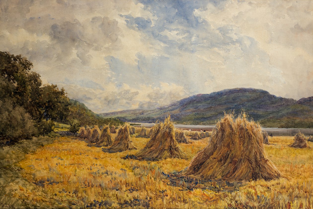 Lanrick Mead von David Law
