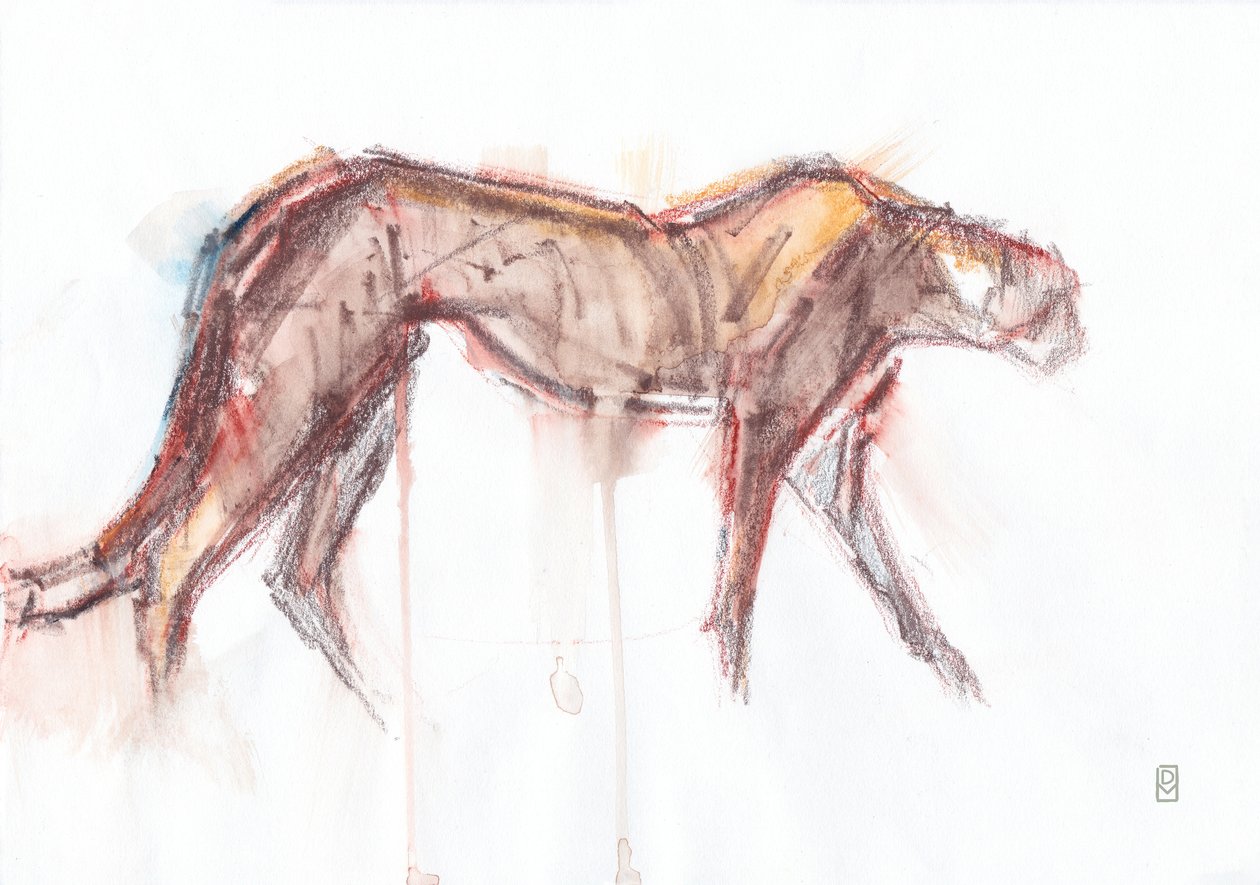 Gepardenjagd, 2019 von David Mayer