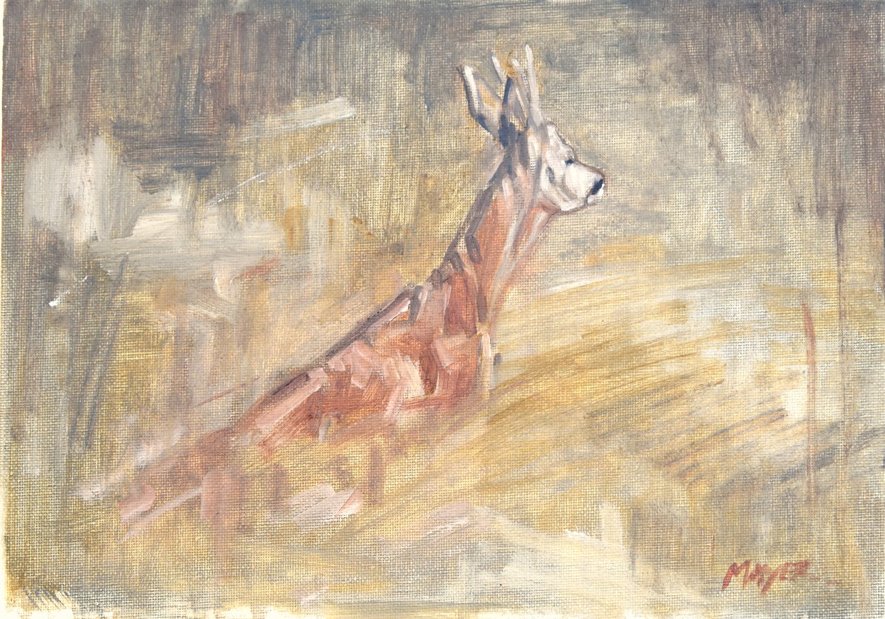 Rehbock, 2023 von David Mayer