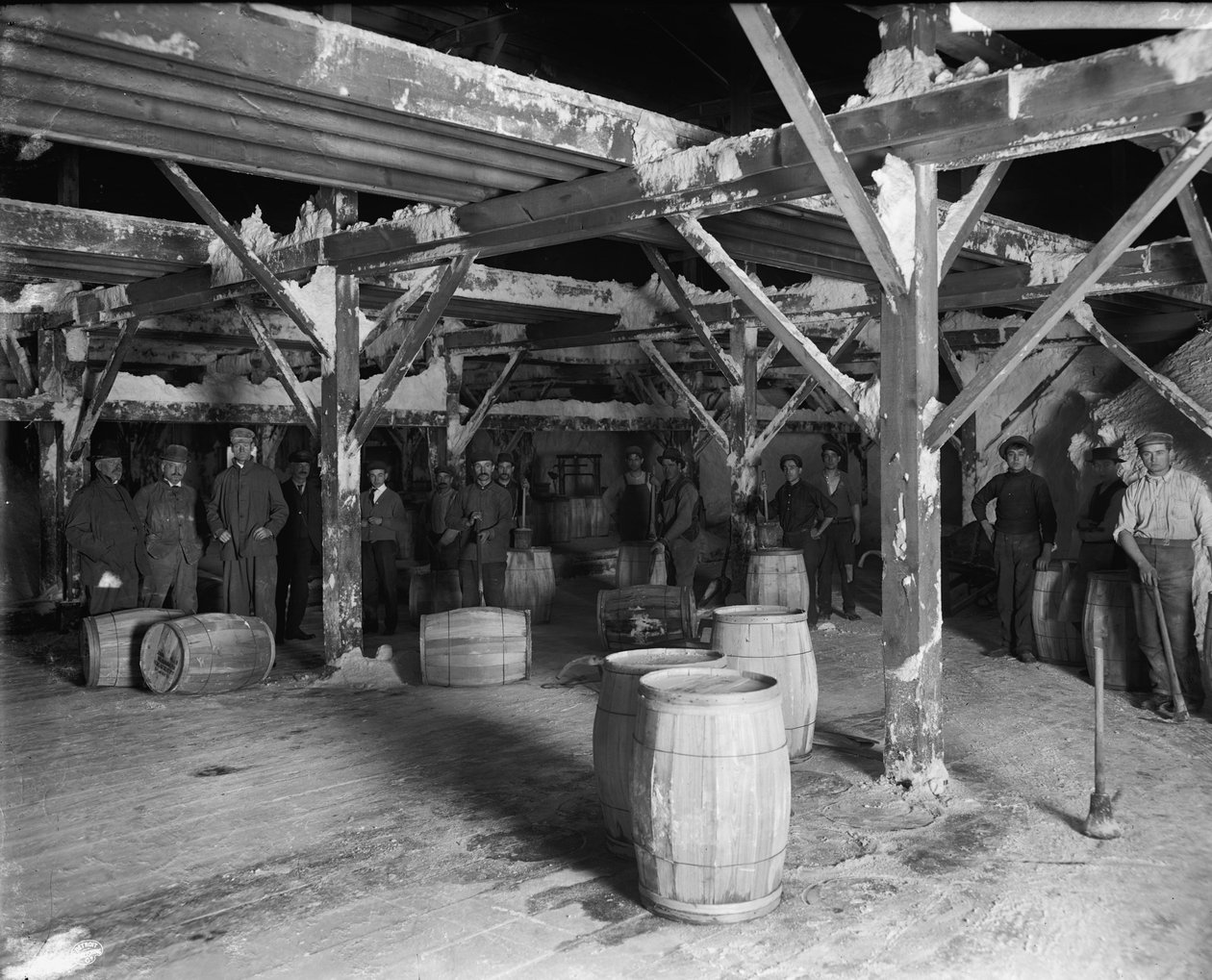 Del Ray Salt Co., ca. 1900-20 von Detroit Publishing Co.