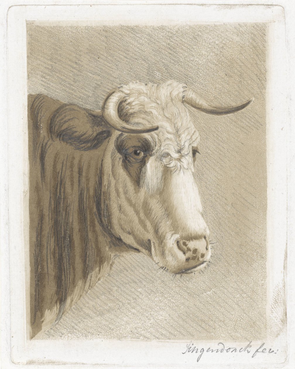 Koekop von Diederik Jan Singendonck (signed by artist)