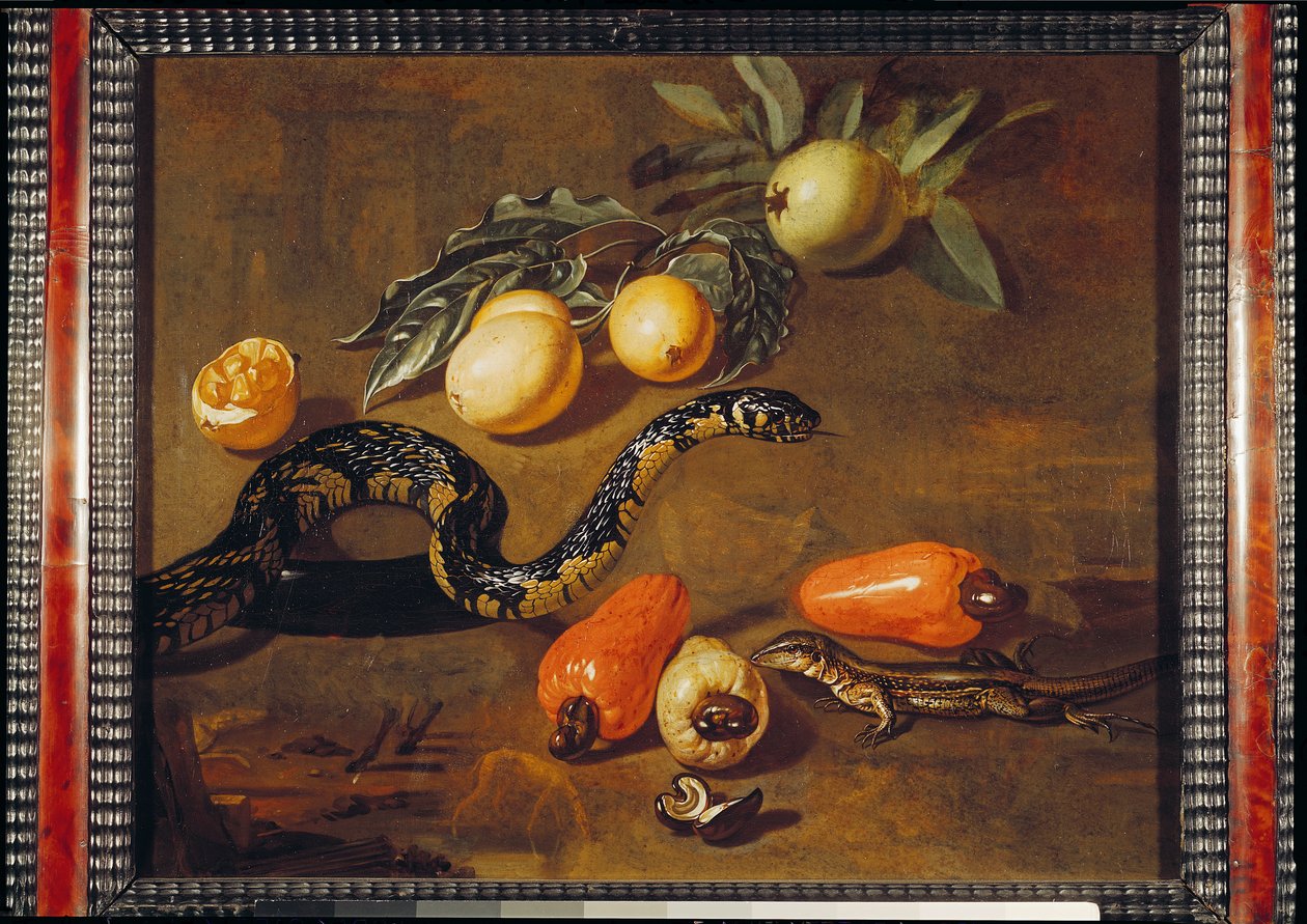Stillleben mit Früchten aus Surinam und Reptilien von Dirk Valkenburg
