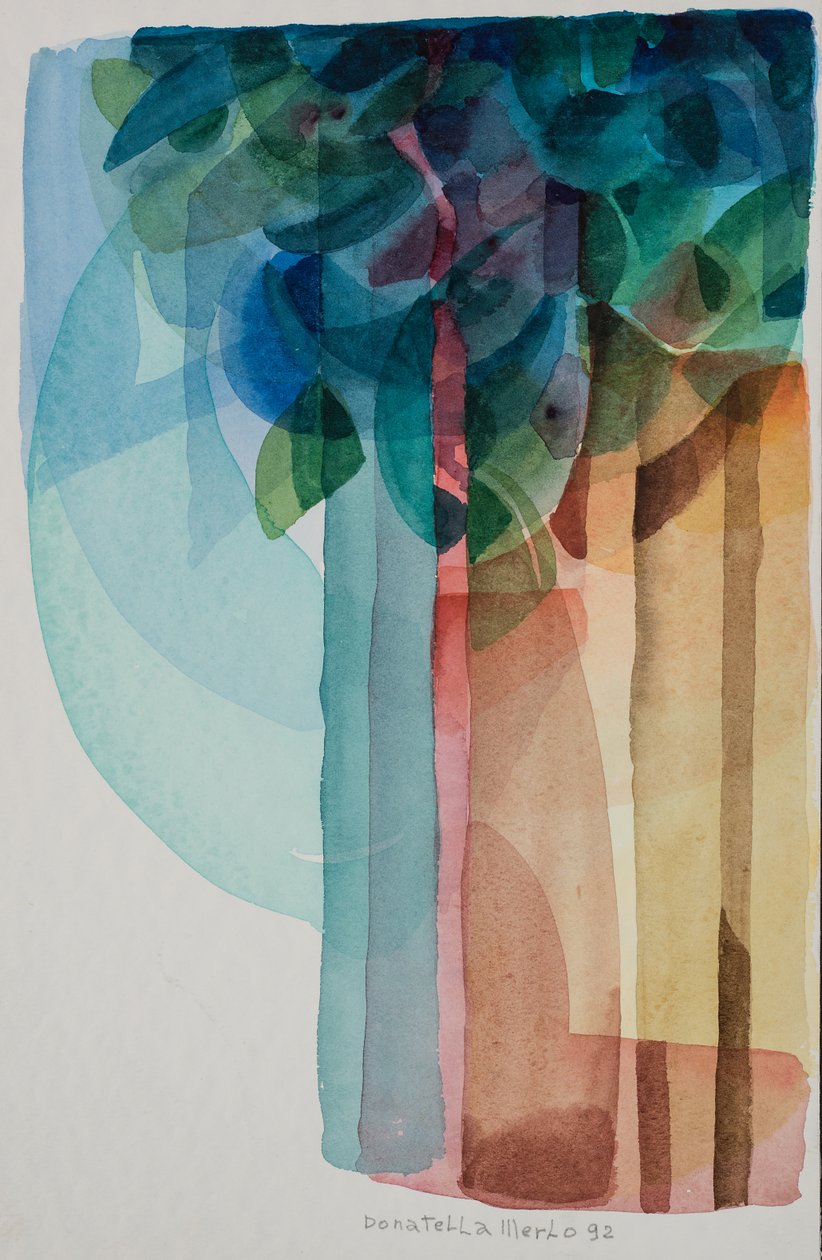 Wasserfall von Donatella Merlo