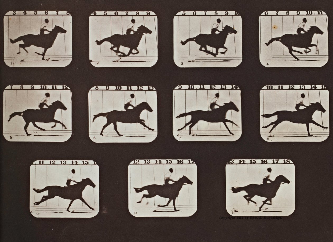 Sallie Gardner läuft aus Die Haltungen von Tieren in Bewegung von Eadweard Muybridge