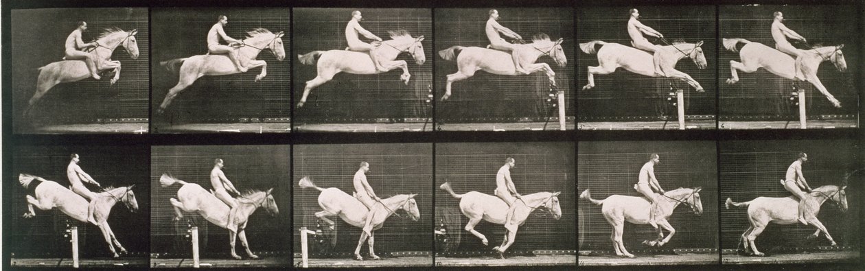 Mann und Pferd springen über einen Zaun, Tafel 643 aus 