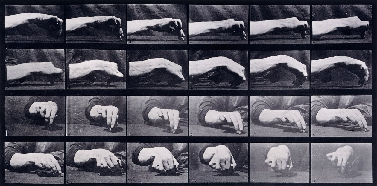Eine Bewegungsstudie einer Hand, ca. 1872-1885 von Eadweard Muybridge