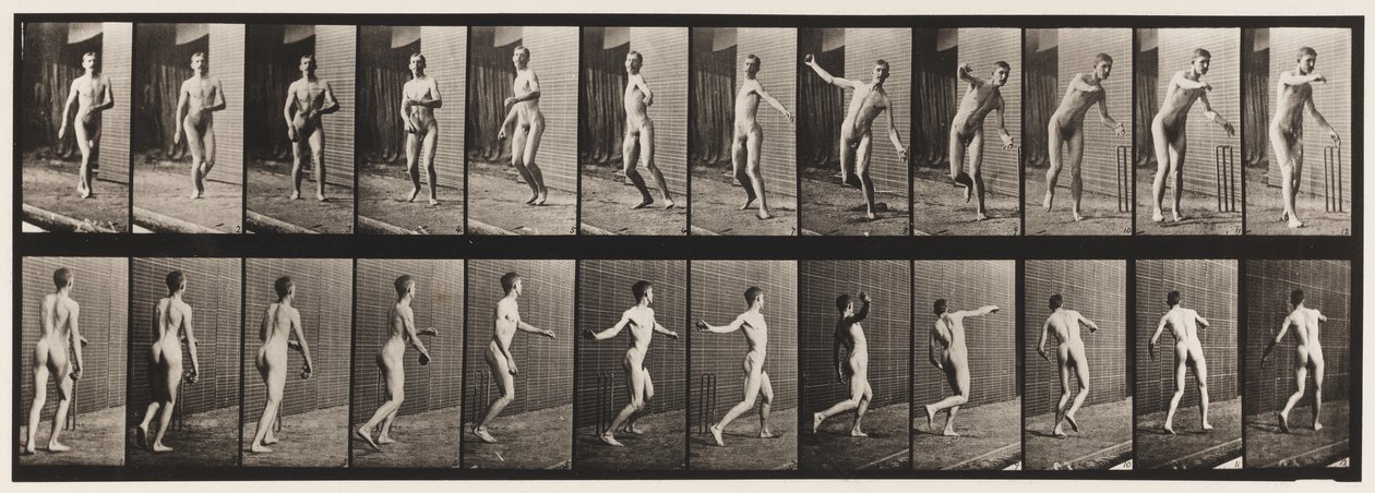 Tafel 289. Cricket; Rundarm-Bowling, 1885 von Eadweard Muybridge