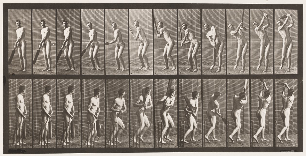 Tafel 291. Cricket; Schlagen; Drive von Eadweard Muybridge