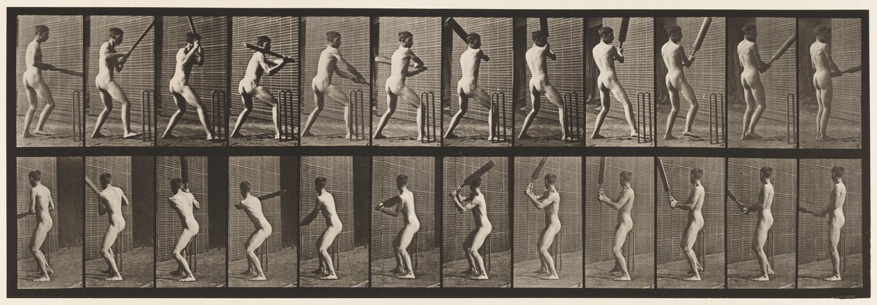 Tafel 292. Cricket; Schlagen; Rückwärts von Eadweard Muybridge