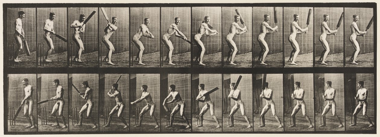 Tafel 293. Cricket; Schlagen; Rückwärtsschnitt, 1885 von Eadweard Muybridge