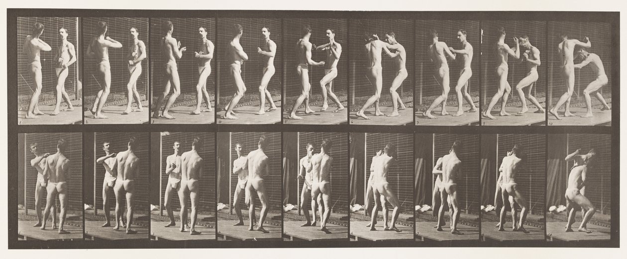 Tafel 339. Boxen; Offene Hand von Eadweard Muybridge
