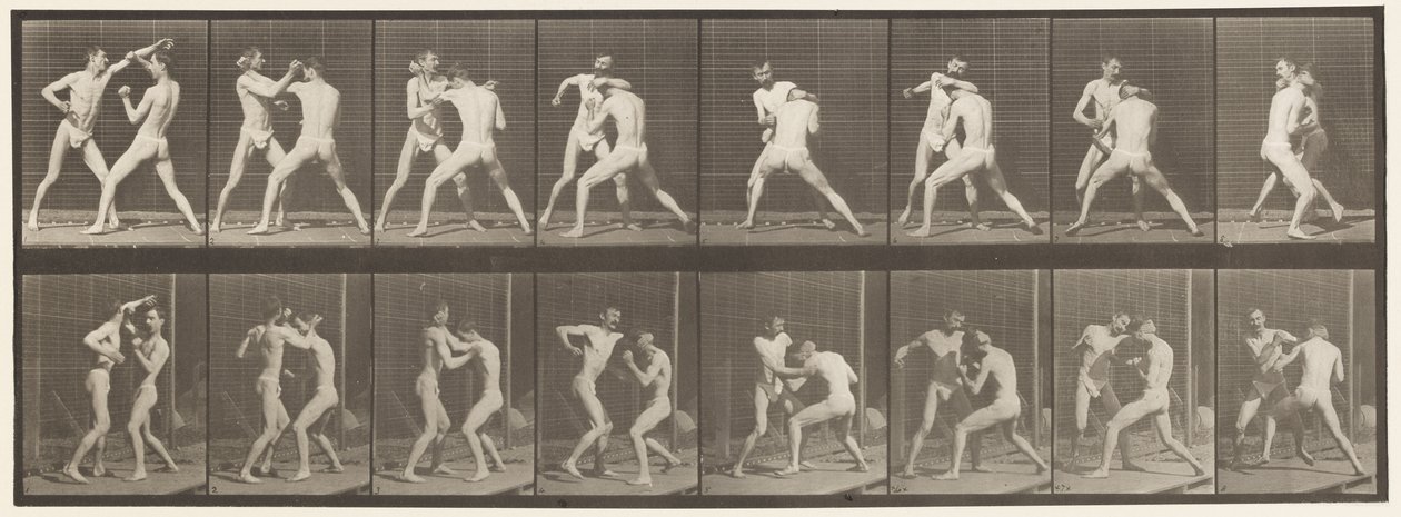 Tafel 342. Boxen; Offene Hand, 1872-1885 von Eadweard Muybridge