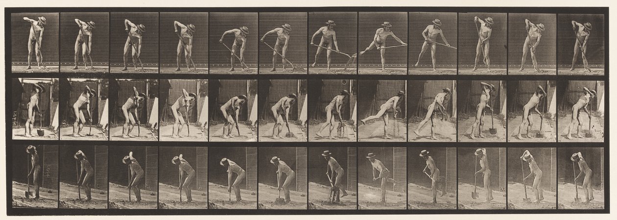 Tafel 387. Bauer, der eine Langstielschaufel benutzt von Eadweard Muybridge