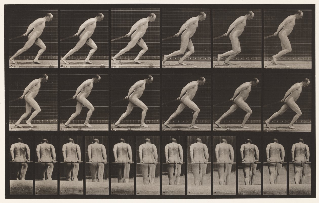 Tafel 392. Einen Gartenroller ziehen, 1872-1885 von Eadweard Muybridge