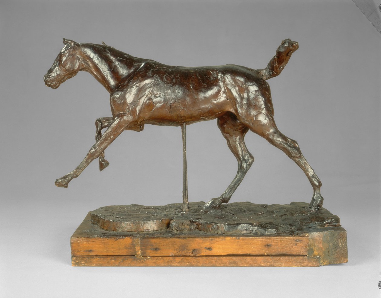 Pferd galoppiert auf dem rechten Fuß von Edgar Degas