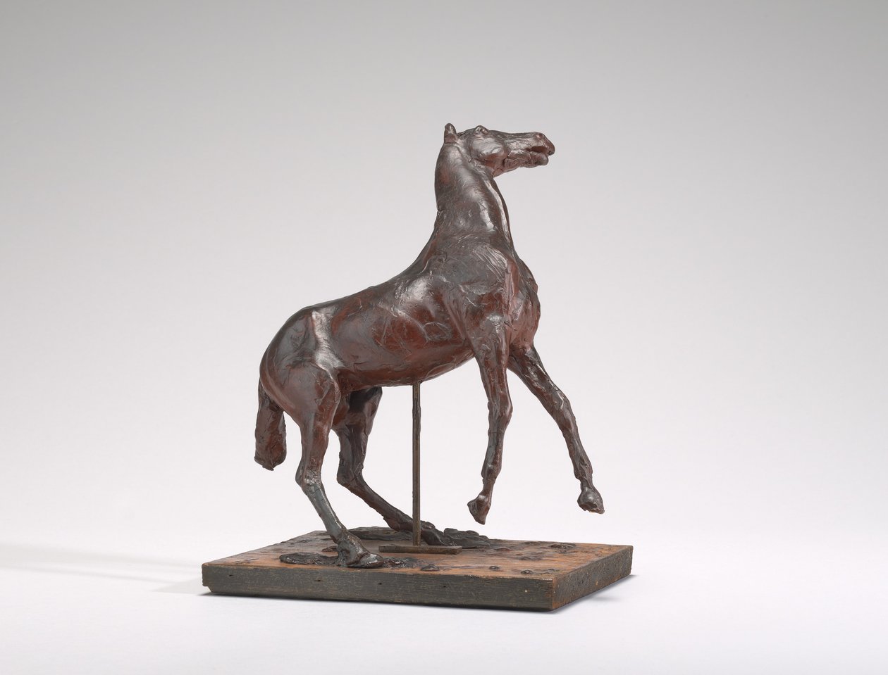 Aufbäumendes Pferd, 1880er Jahre von Edgar Degas