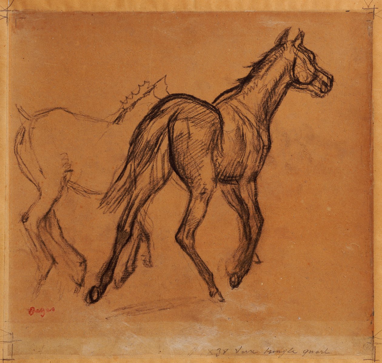 Pferde, ca. 1882 von Edgar Degas