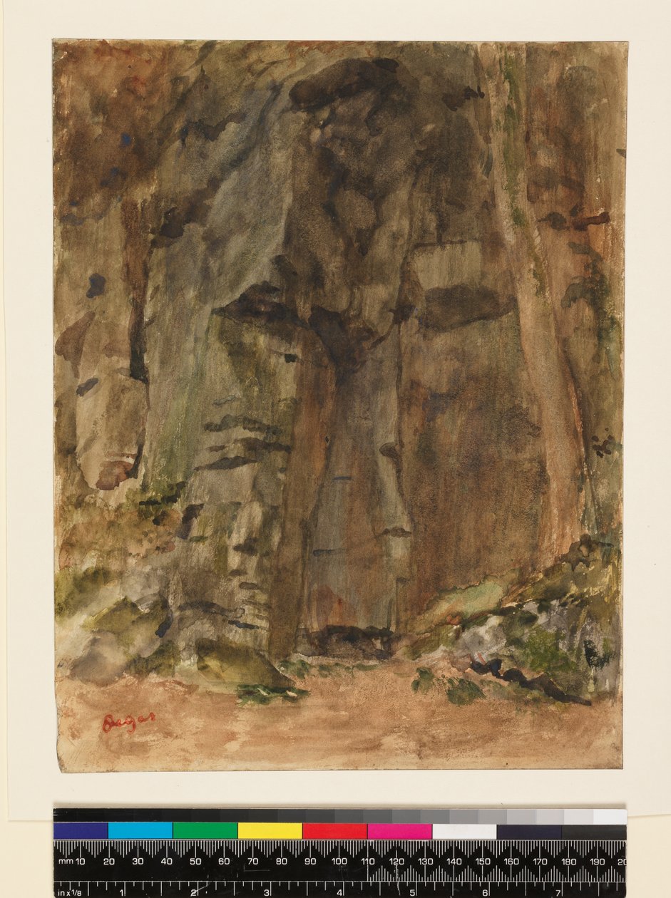 Felsen bei Bagnoles-De-L