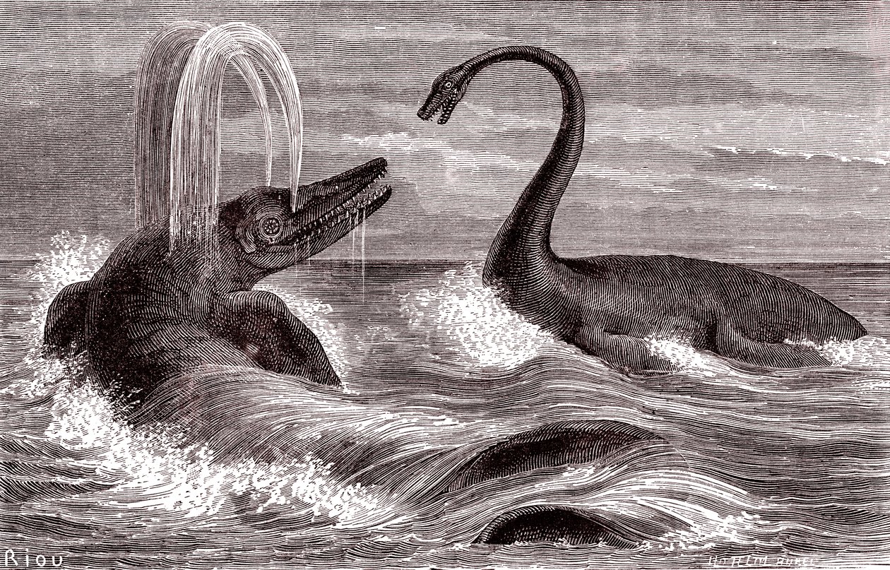 Der Ichthyosaurus und der Plesiosaurus von Edouard Riou
