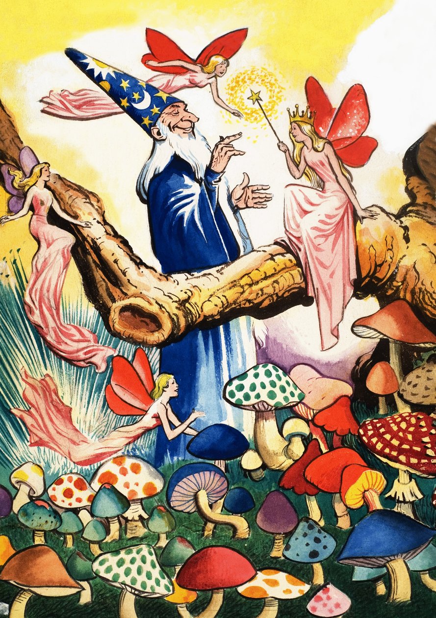 Zauberer im Pilzwald von Eduardo Teixeira Coelho
