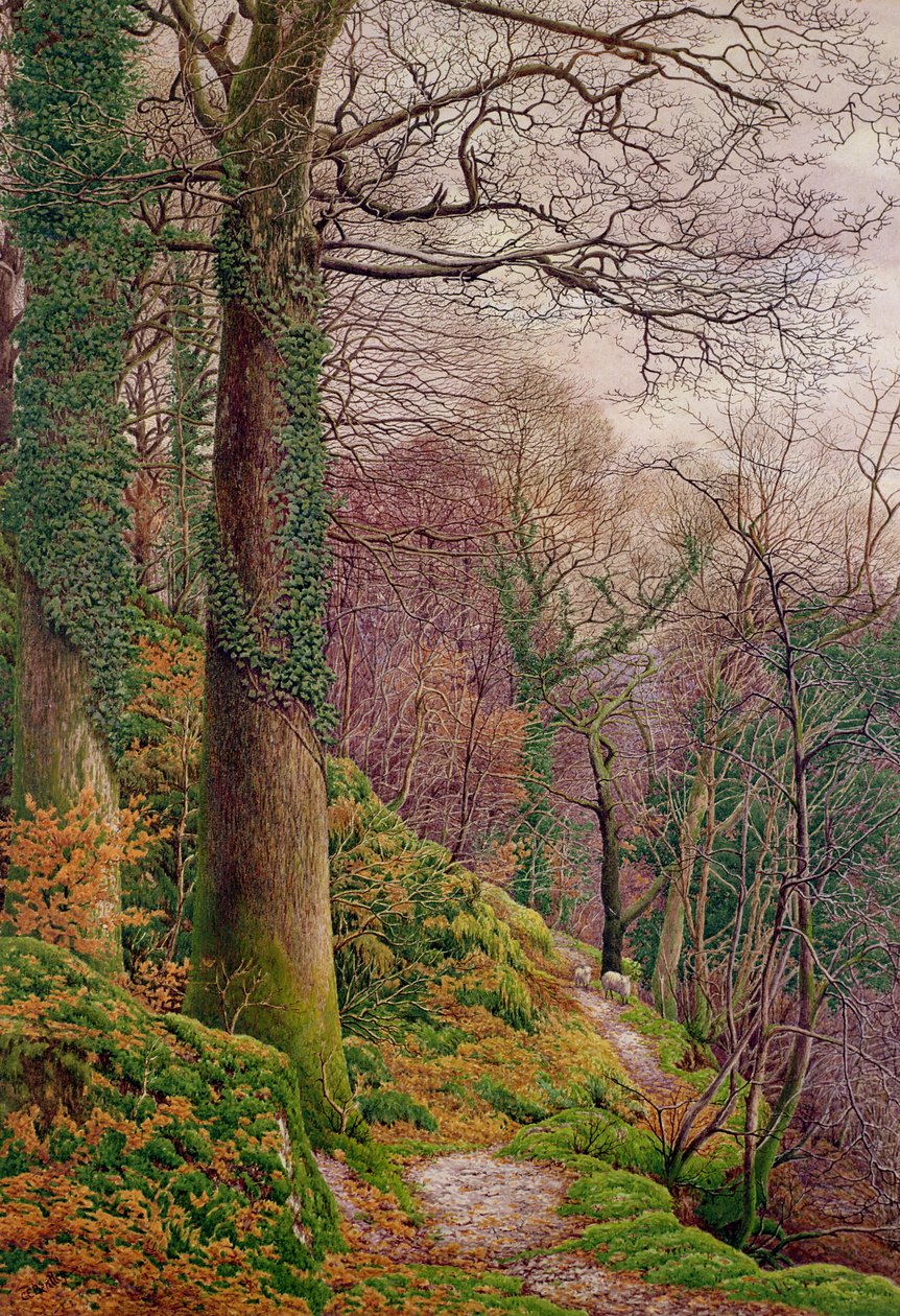 Ein Pfad im Wald von Edward Bentley