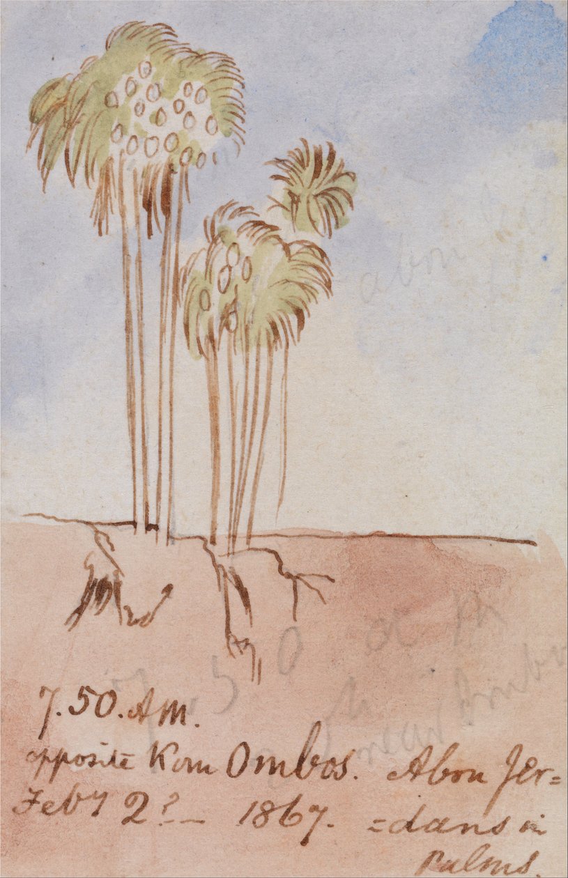Gegenüber von Kom Ombos Abu Jer von Edward Lear