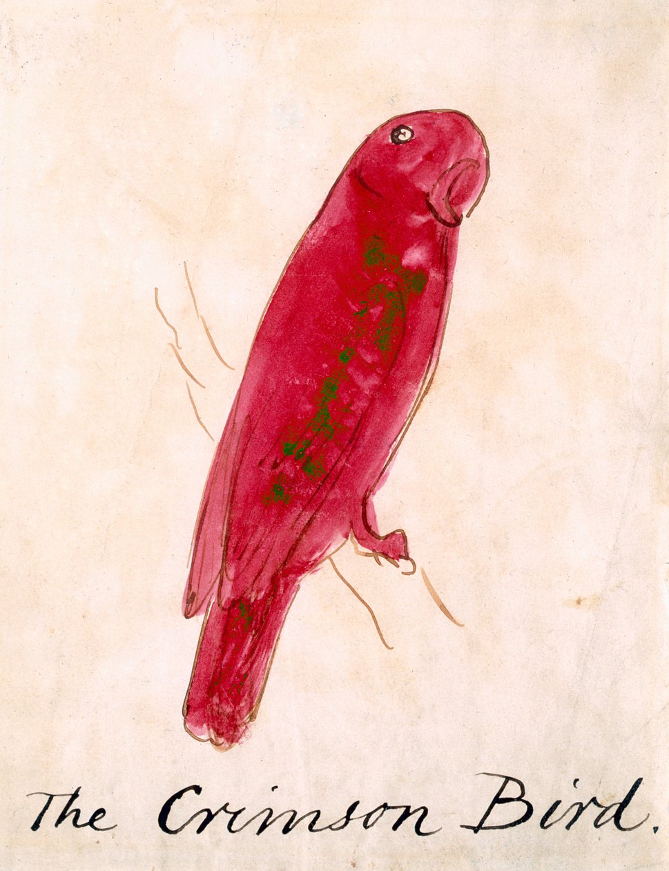 Der purpurne Vogel, aus 