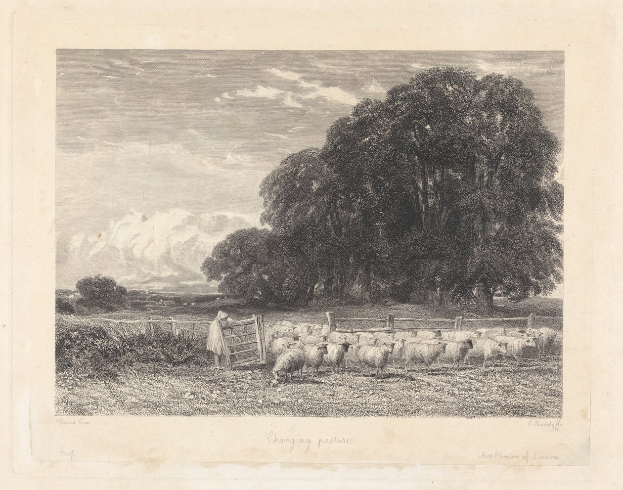 Wechselnde Weide von Edward Radclyffe