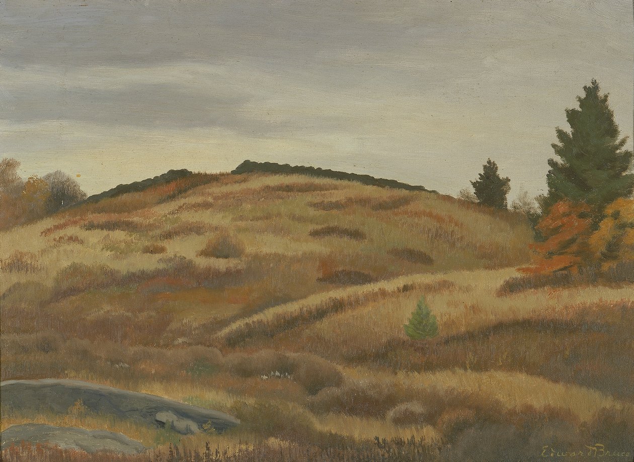 Herbstfelder von Edward Bruce