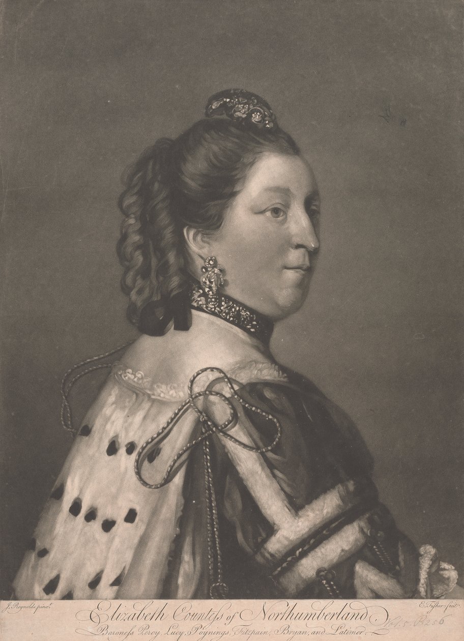 Elizabeth, Gräfin von Northumberland von Edward Fisher