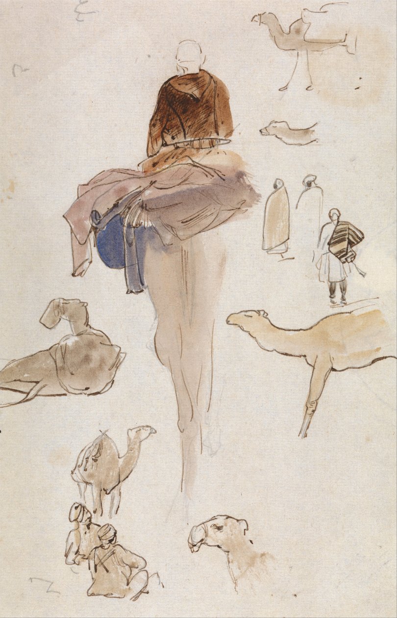 Studien von Kamelen von Edward Lear