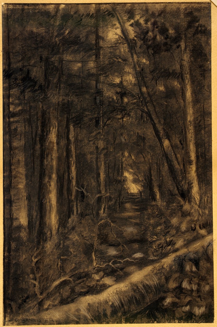 Landschaft mit Weg durch den Wald von Edward Mitchell Bannister