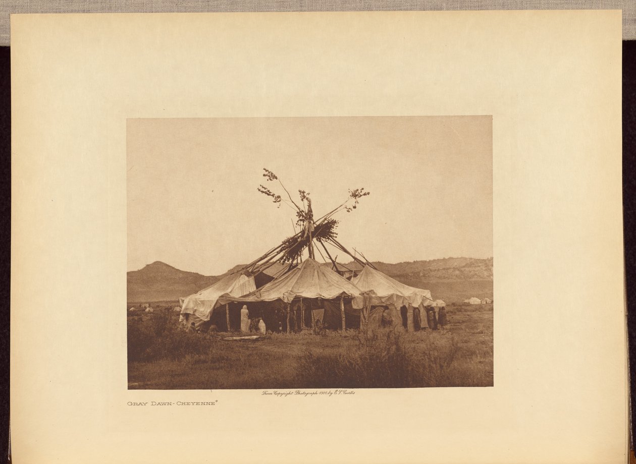 Grauer Morgen - Cheyenne von Edward S. Curtis