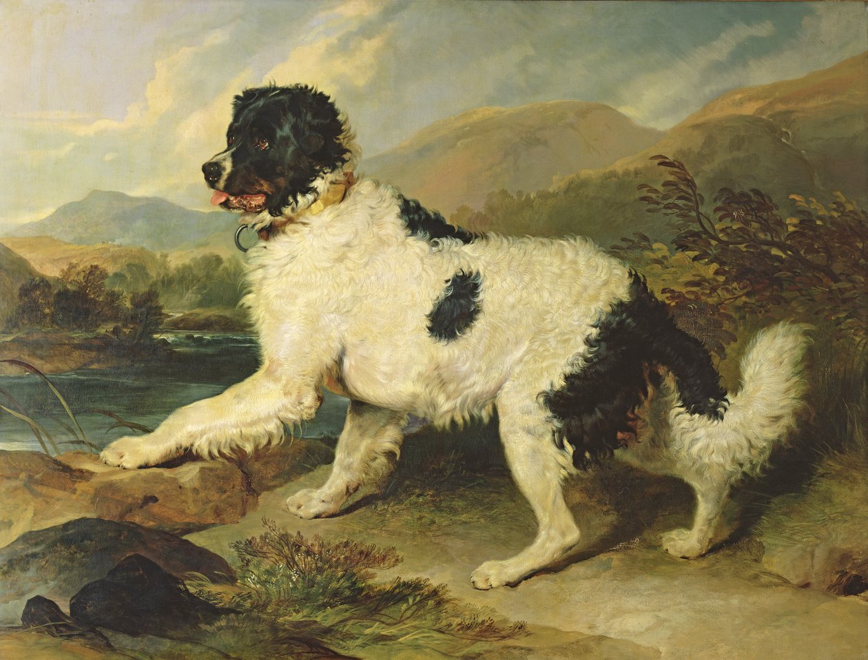 Neufundländer Hund namens Löwe, 1824 von Edwin Landseer