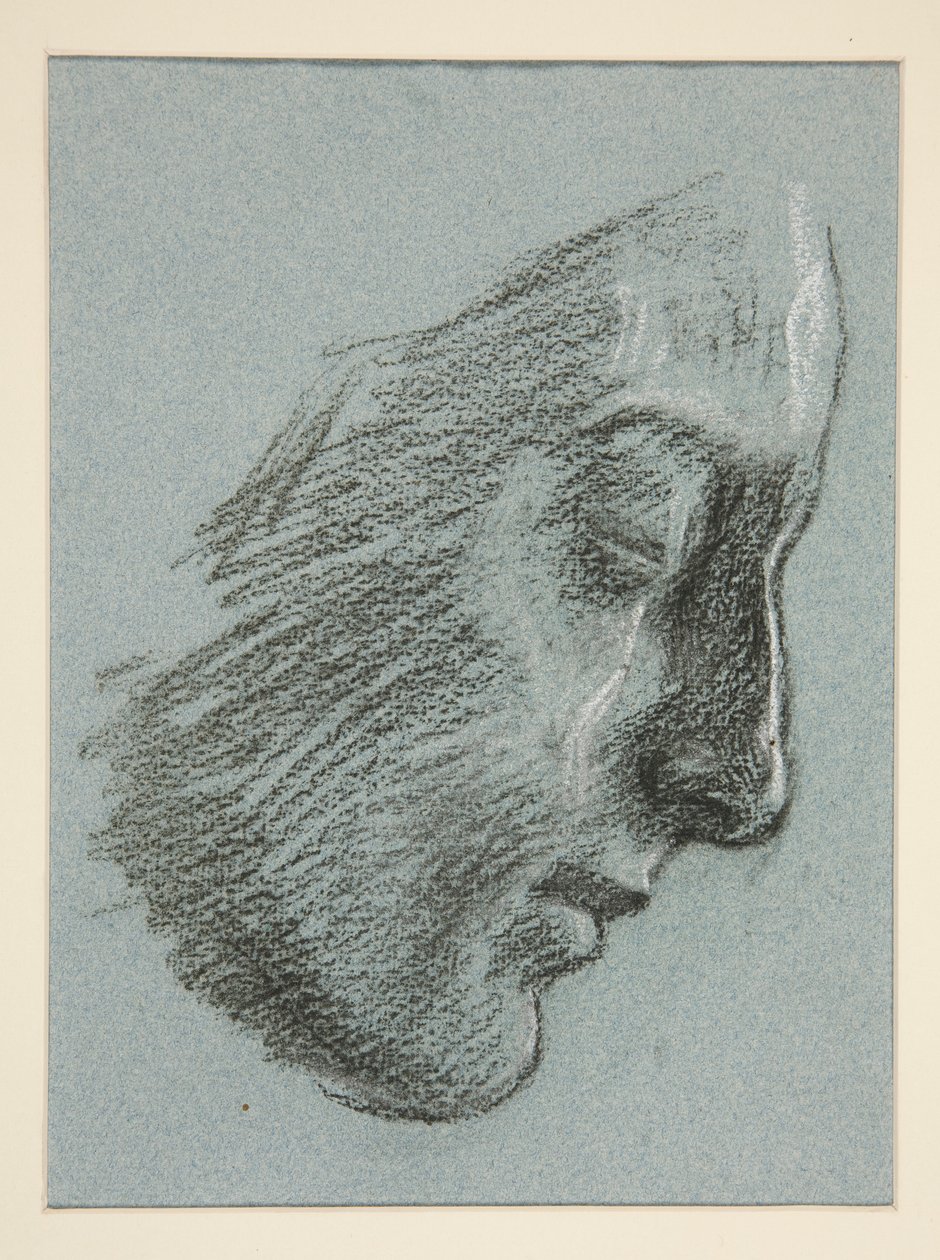 Profil einer jungen Frau von Edwin Austin Abbey