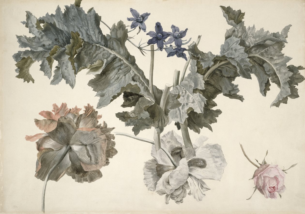 Doppelt gefüllte Schlafmohnblumen, Mohnblätter, Rittersporn und eine Rosenknospe von Eelke Jelles Eelkema