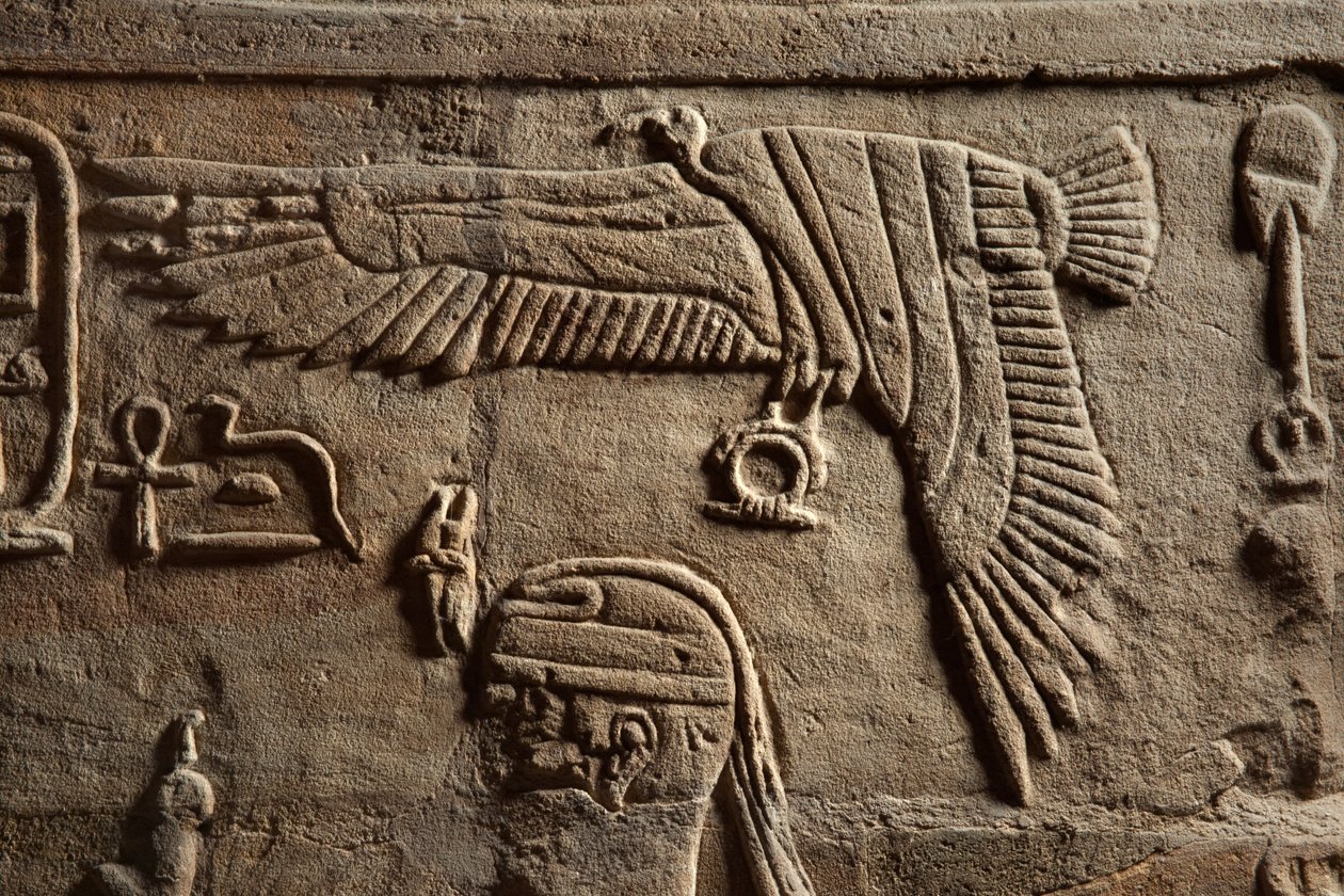 Relief auf einem Schrein, errichtet von Pharao Taharqa im Hof des Amun-Tempels, erbaut von ihm in Kawa in Nubien, 25. Dynastie, Spätzeit, 690-64 v. Chr. (Detail) von Egyptian 25th Dynasty