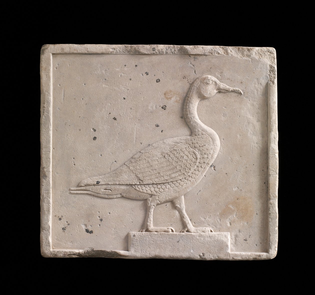 Plakette, die eine Gans darstellt, 26. Dynastie oder Saite-Periode, 664-525 v. Chr. oder später (Kalkstein) von Egyptian 26th Dynasty