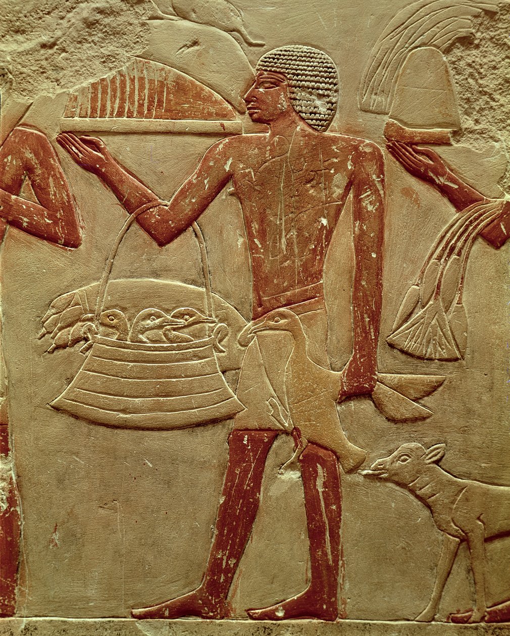 Relief, das einen Träger mit einem Korb voller Nestlinge darstellt, aus dem Grab der Prinzessin Idut, Altes Reich, ca. 2330 v. Chr. (bemalter Kalkstein) von Egyptian 6th Dynasty