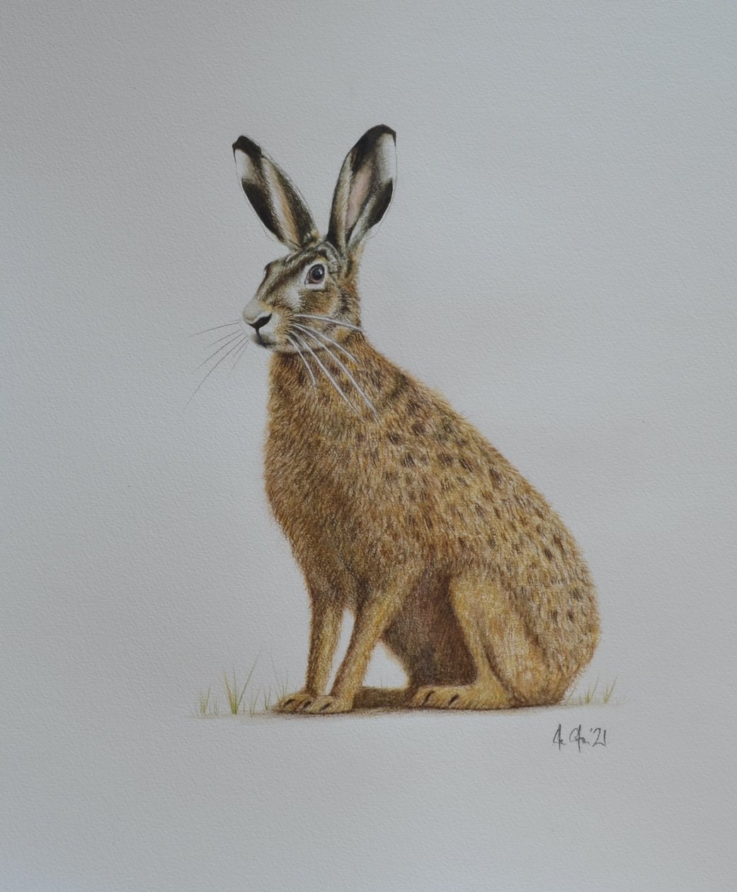 Hase, 2021 von Eleanor Grafton