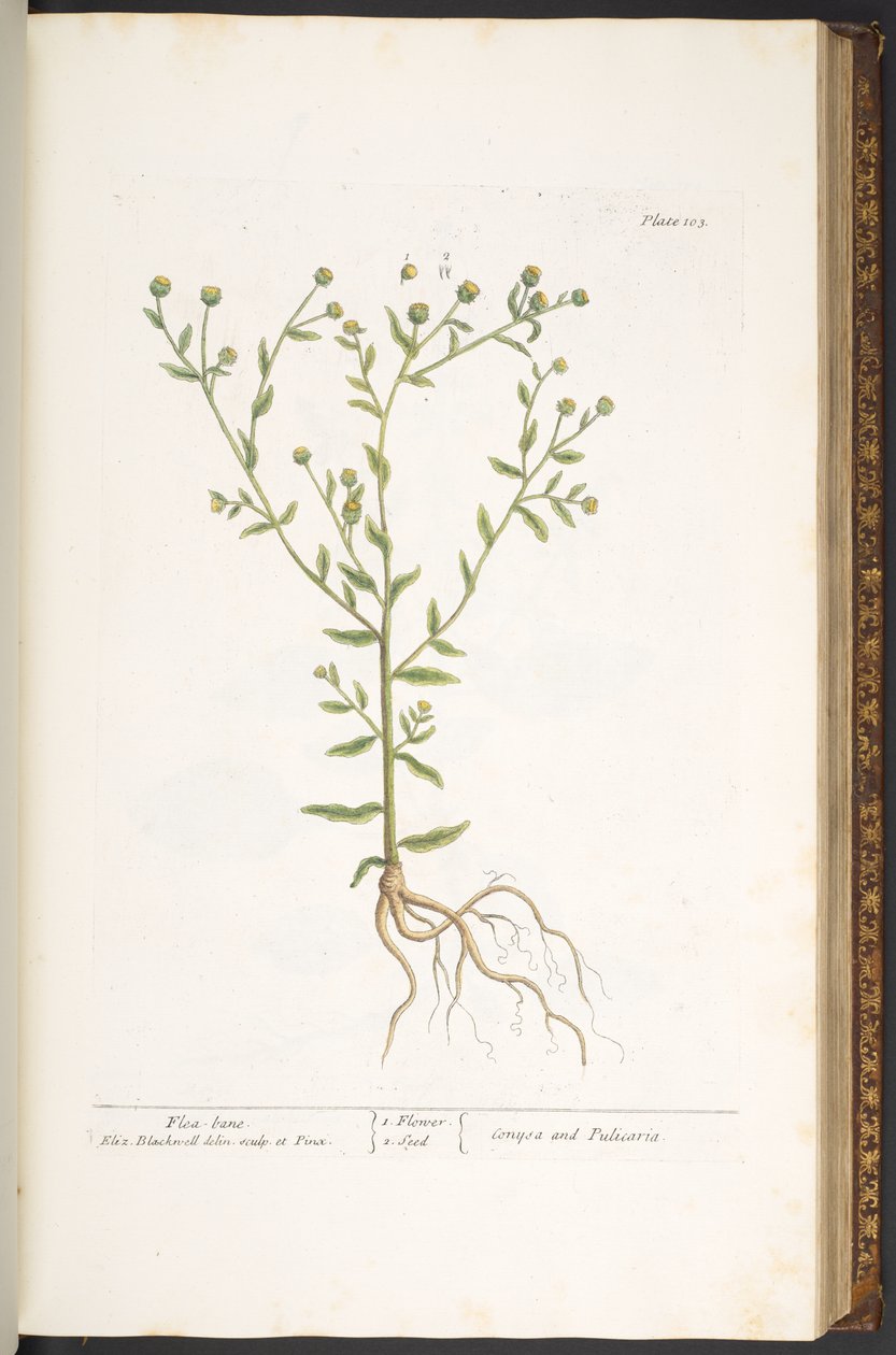 Tafel 103, aus 