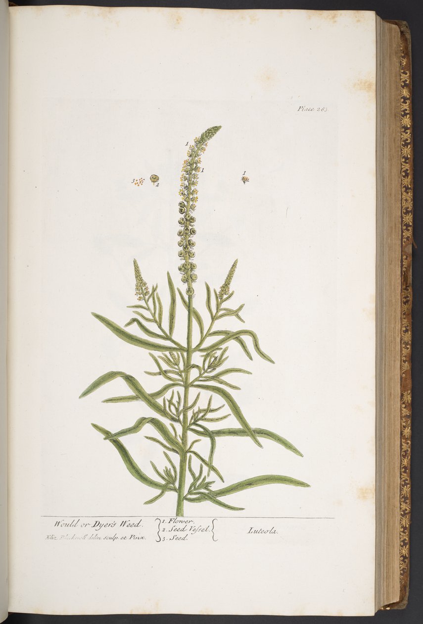 Tafel 283, aus 