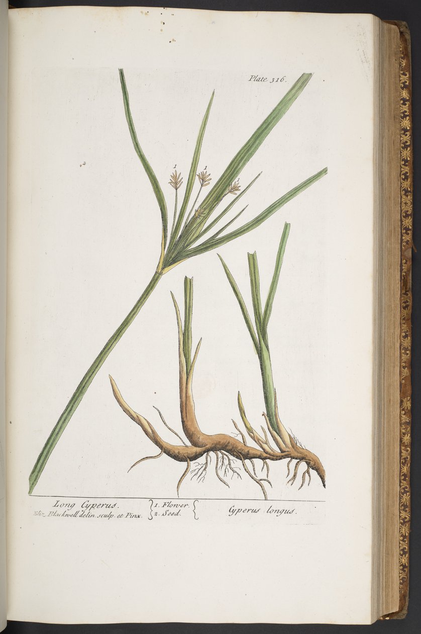 Tafel 316, aus 