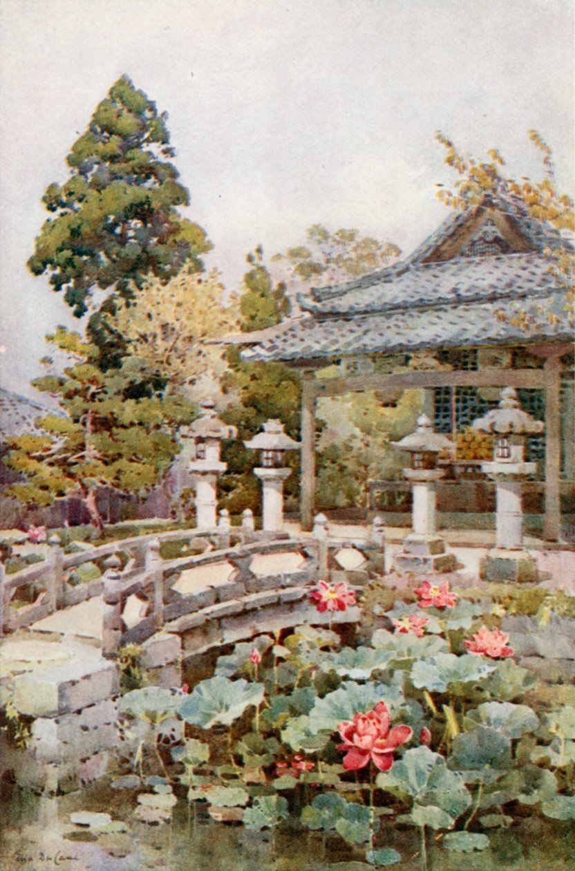 Lotus in Kyomidzu von Ella Du Cane