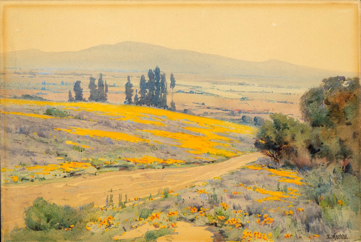 Kalifornische Frühlingslandschaft von Elmer Wachtel